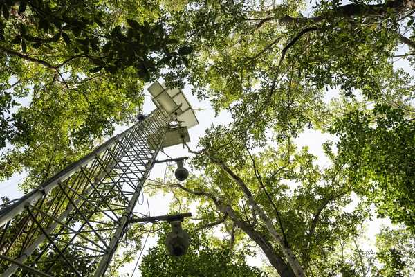 Image of a flux tower during BlueFlux