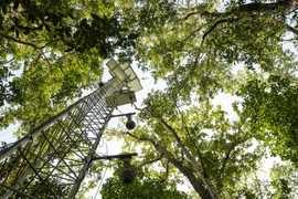 Image of a flux tower during BlueFlux
